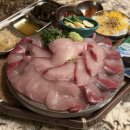 시도 8호선 버즘나무 | 잠실 방이 먹자골목 범포구 방이본점 | 제철 활어 당일공수 대방어 맛집