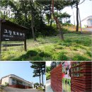 송전산촌생태마을영농조합법인 | 송산그린시티 전망대와 안산 대부도 그랑꼬또와인(안산여행)