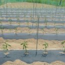 금산흥농 이미지