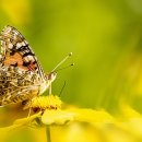 선화로6길 이미지