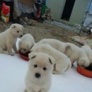 송가네농장 이미지