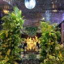 레미니스호텔 이미지