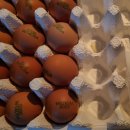 안일영농 이미지