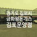 금화 | 운양동 돈까스 금화왕돈까스 김포 운양점 후기!