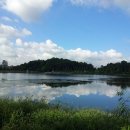 일월공인중개사사무소 이미지