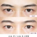서연성형외과의원 이미지
