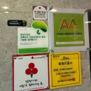 부모님과 함께 통갈치구이, 갈치조림 춘심이네 본점 n번째 재방문 솔직후기