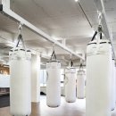 박종팔복싱체육관 이미지