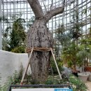 세종공원 | 세종시 여행. 호수 공원과 세종 국립 수목원 방문 후기