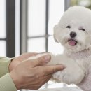 영영축산 이미지