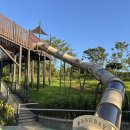 석정사슴 이미지