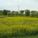 수변공원(1-4) 이미지