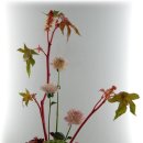 남성동011 이미지