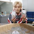 키워주세요