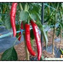 우석농장 이미지