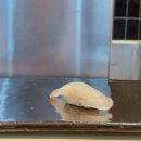 도그의 품격 | 시부야 오마카세 스시히쵸(鮨 飛鳥) 특선 오마카세 후기｜우니도그, 쥬욘다이十四代 까지 만족스러웠던 곳