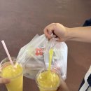 연플라잉 | [260418] 두산베어스 vs 기아타이거즈 야구 직관 후기; 야구 스페셜 데이는 또 뭘까 (ft. 엔플라잉)