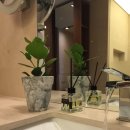 THE CLASSIC <더 클래식> 이미지