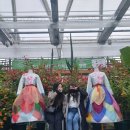 장미한복 이미지