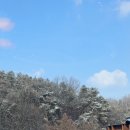 과천대로6나길 이미지