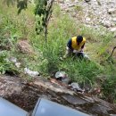 대승환경 이미지