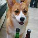 멍스마켓