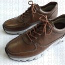 선형상사 이미지