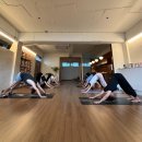 솔고헬스케어 무거점 | [내돈내산]울산무거동 아브히요가 - 우리는 운동을 왜 하는 것일까요?