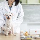 투게더 동물병원 이미지