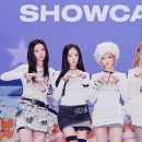 404 케이스타뉴스