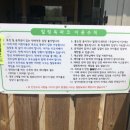 힐링독파크 이미지