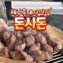 돈사돈구좌흑돼지 이미지