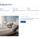 헤이븐동물병원 | 모션베드 추천 브랜드 비교