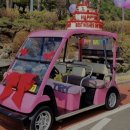 곤지암GC | 너무 맘에 들었지만 홀컵 위치가 맘에 들지 않았던 로제비앙 골프클럽 곤지암(로제비앙CC, Losebien GC)