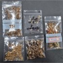 브니엘플라워 이미지