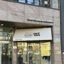 펫살롱 | 광주첨단애견미용 핫도그펫살롱 오픈 후기! 뚜비나나 비숑 귀툭 미용 대 만족 🐶