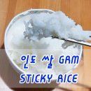 인도에서 먹는 한국인을 위한 쌀 GRM_ STICKY RICE