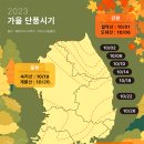 2023 단풍시기 및 단풍명소 🍂💛🍂 🍁🍂🧡🍂🍁 이미지