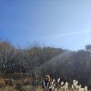 마지막골약수터 | 남양주 놀거리 가볼만한곳 호평동 천마산 등산코스 전망대 정상