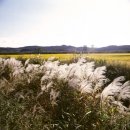 하늘1(탐방객안내소) 이미지