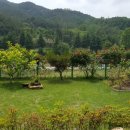 천천농장 이미지