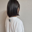 뉴바디 연구소