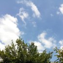 남천병원 이미지