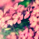 행운공인중개사 이미지