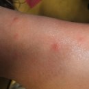 녹십자약국 이미지