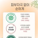 비원가발
