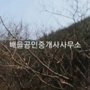 대전리목장 이미지