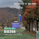 모모268 이미지