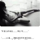 경대사 이미지