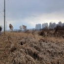 계백로(유등교-서대전네거리) 이미지